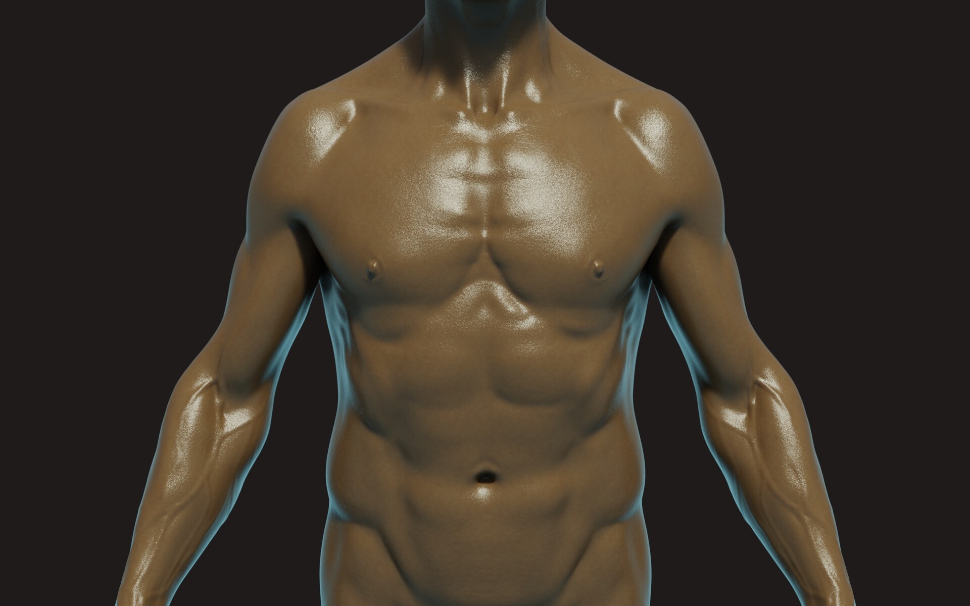 ArtStation - Male anatomic study