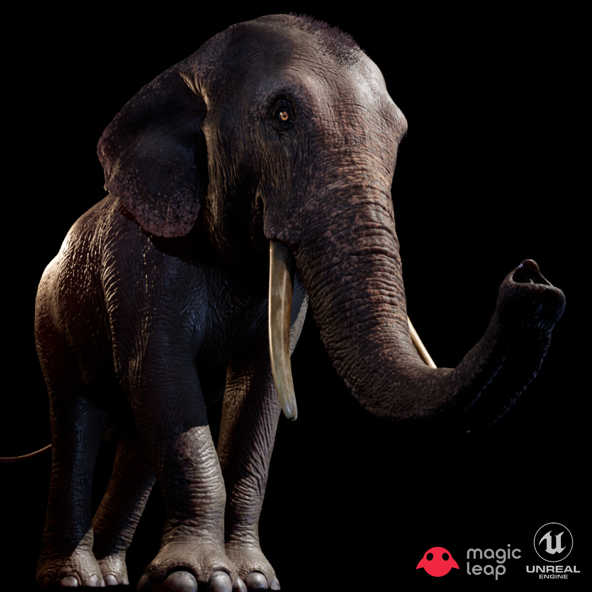 Magic Leap: Interactive elephant AR