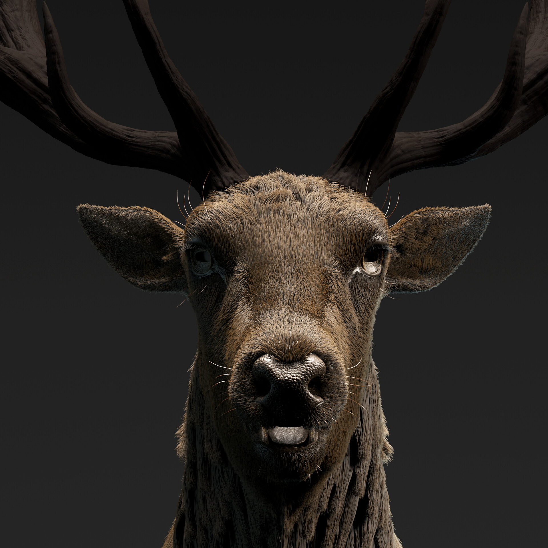 ArtStation - Red_Deer WIP