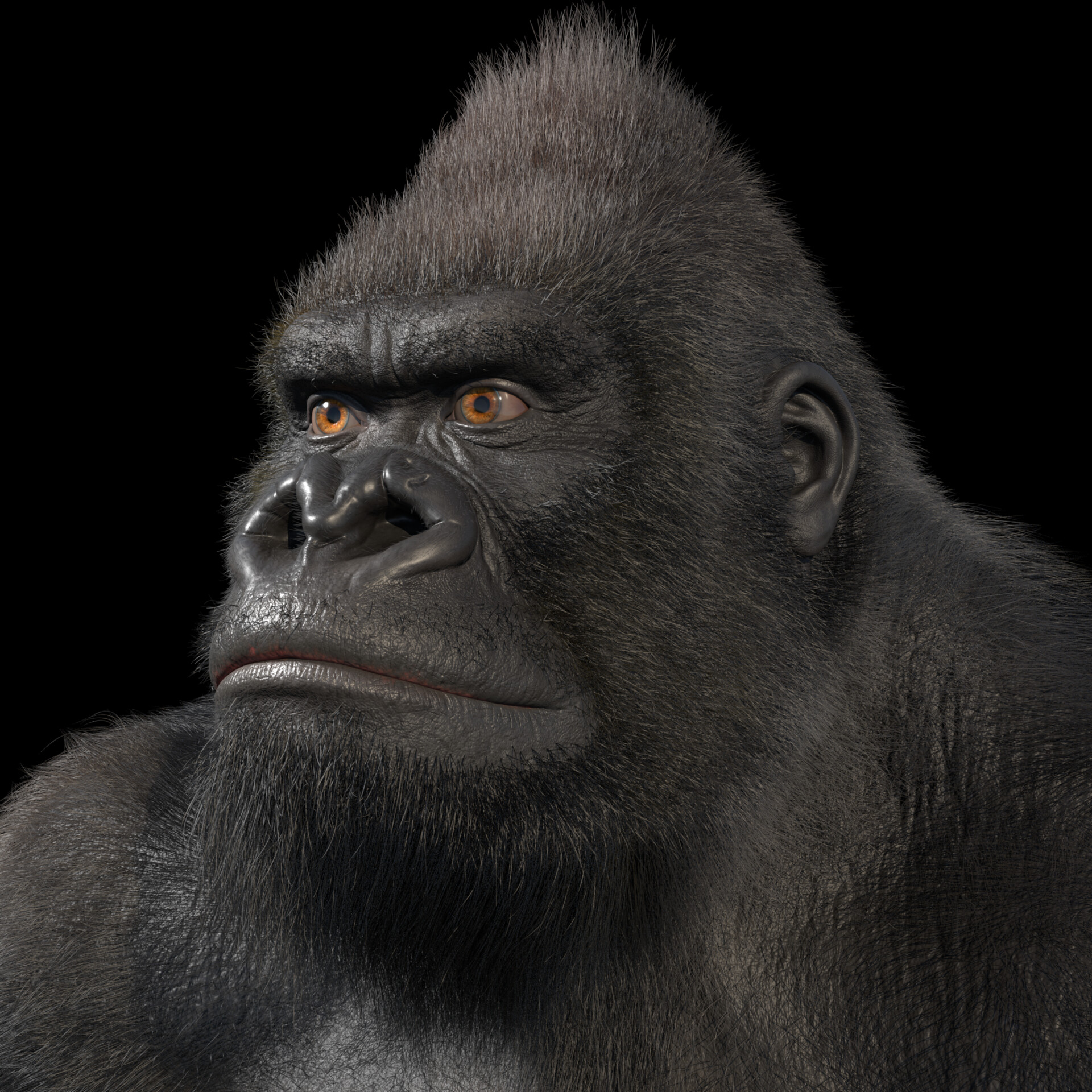 ArtStation - Gorilla