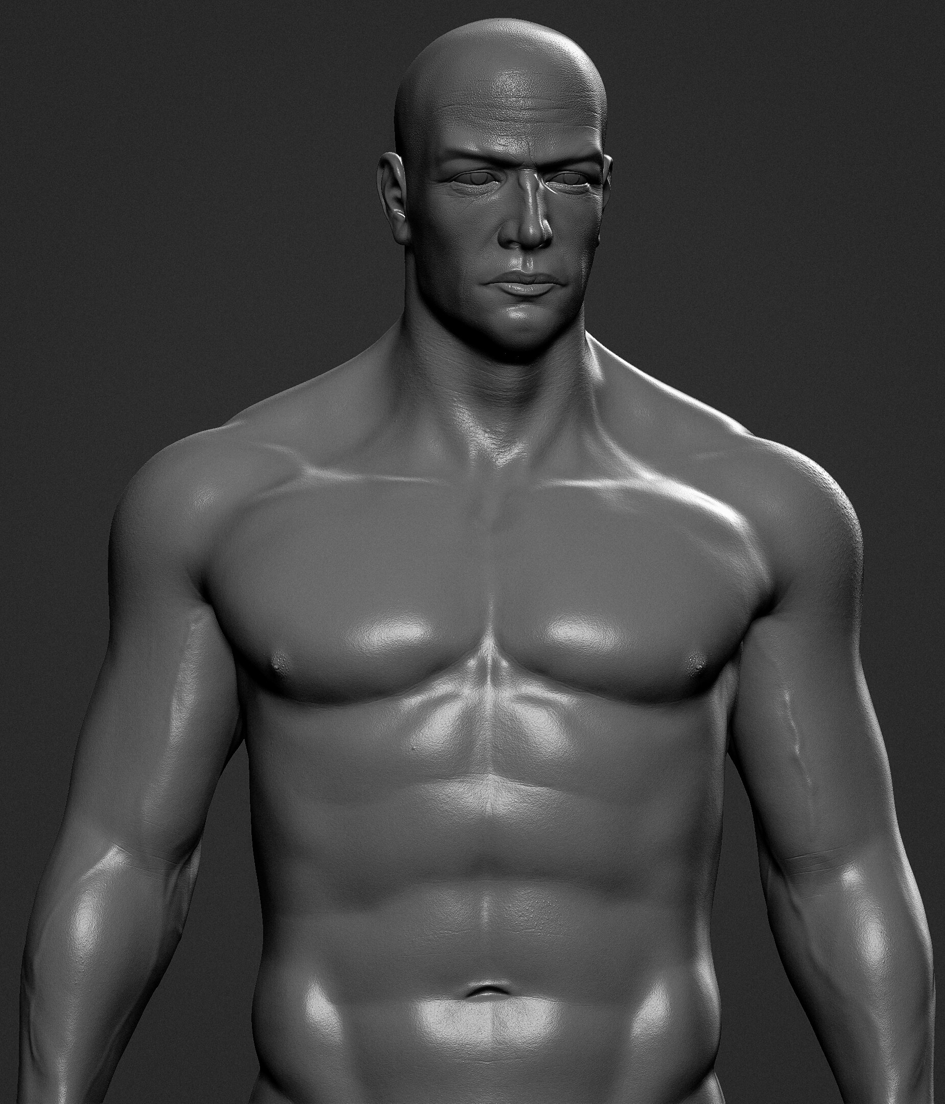 ArtStation Male Anatomy Study