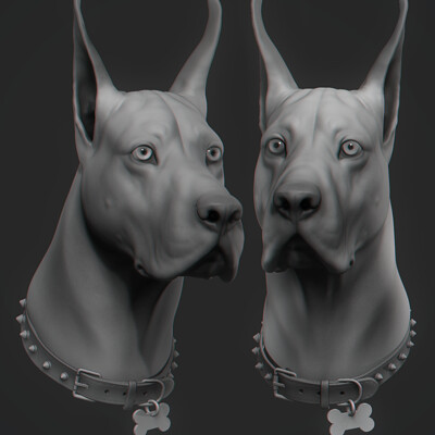 Ana Carolina Pereira (AnaCarolina_Art)