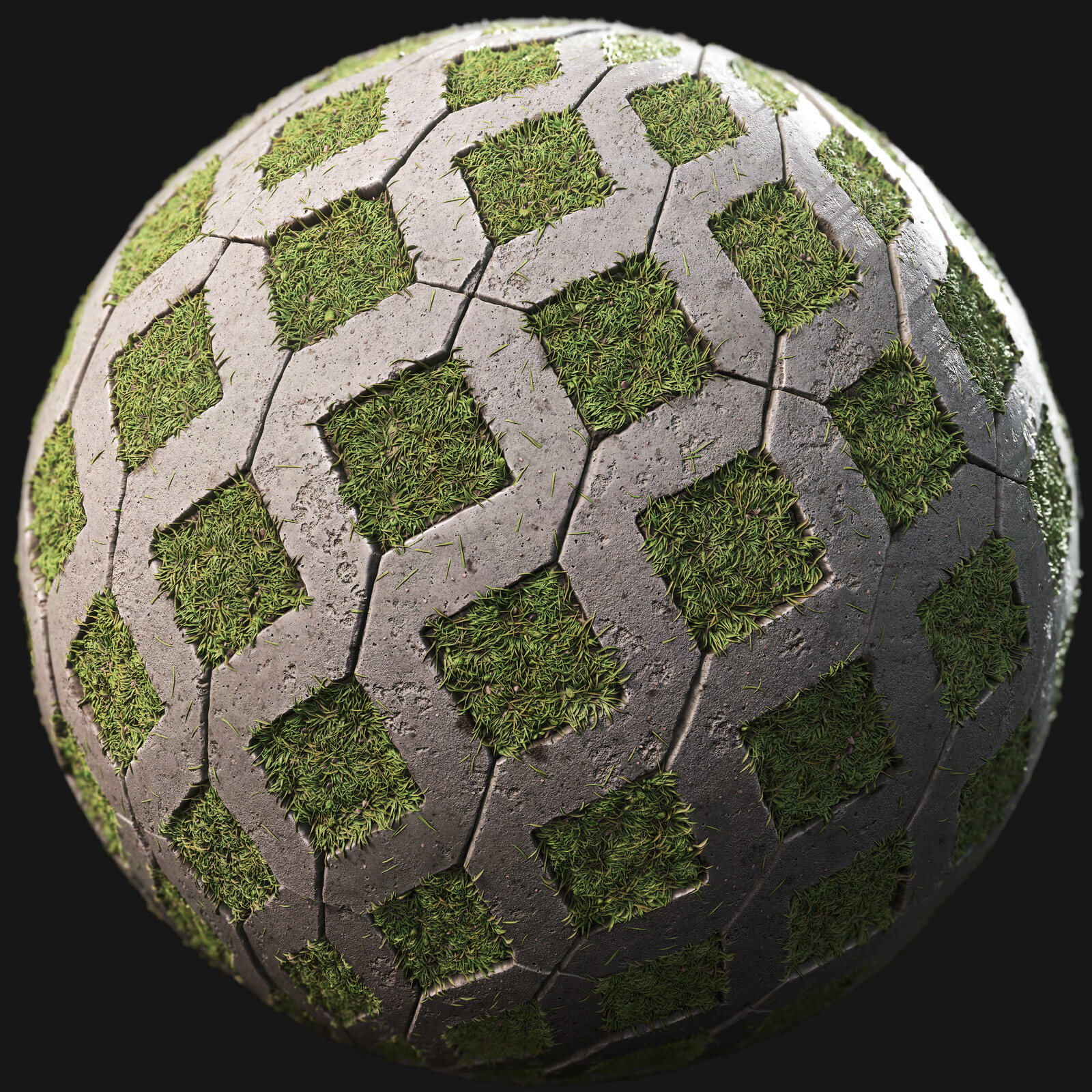 Grass Paver