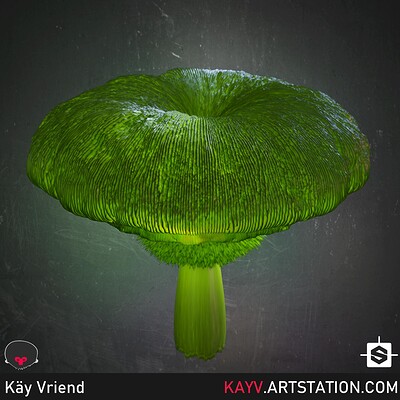 Kay vriend kay vriend nodevember 17 fungus beauty high alt