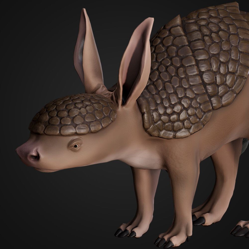 Aardvark Armadillo