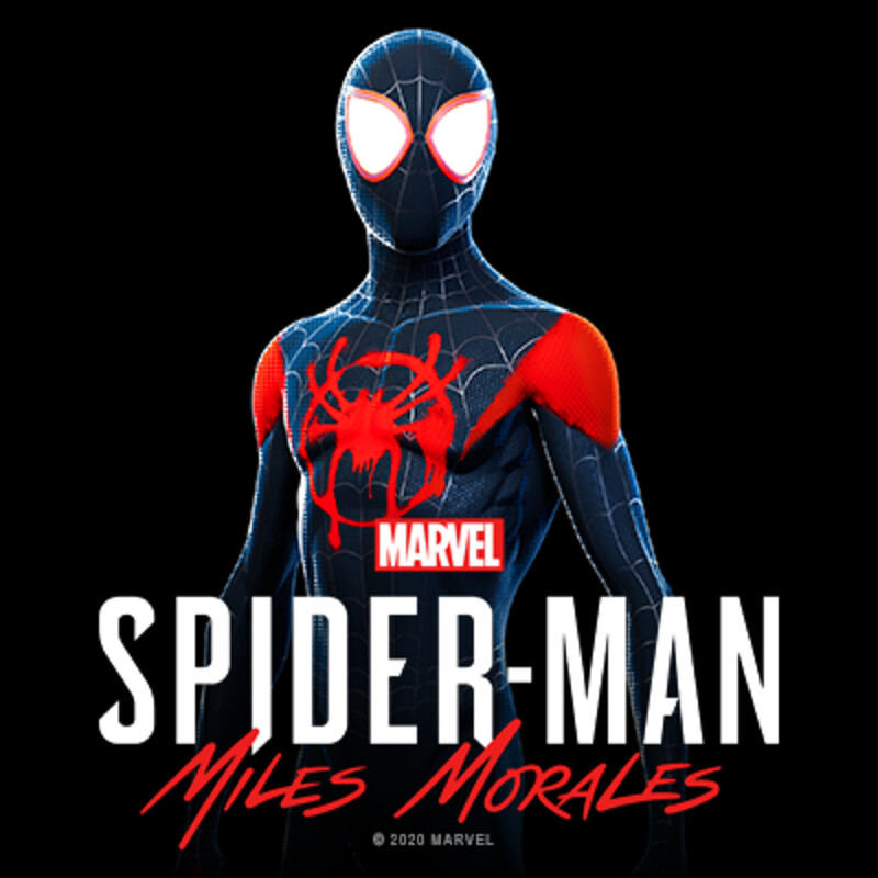 Spider-Man Miles Morales: Into The Spider-Verse Suit
