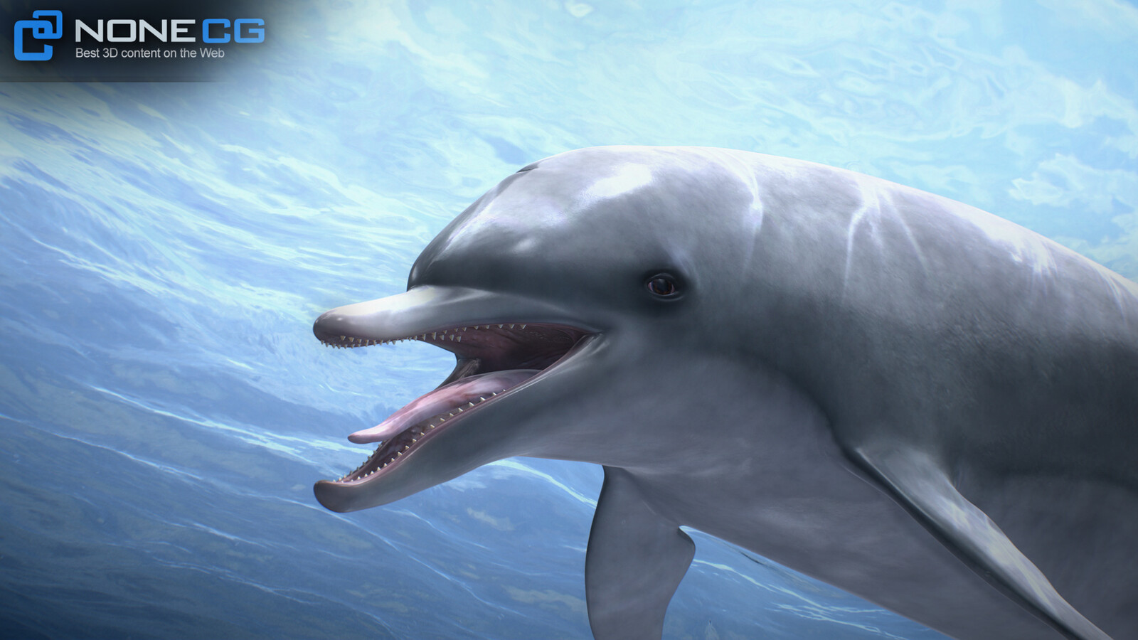 Artstation Animated Bottlenose Dolphin Nonecg 3d