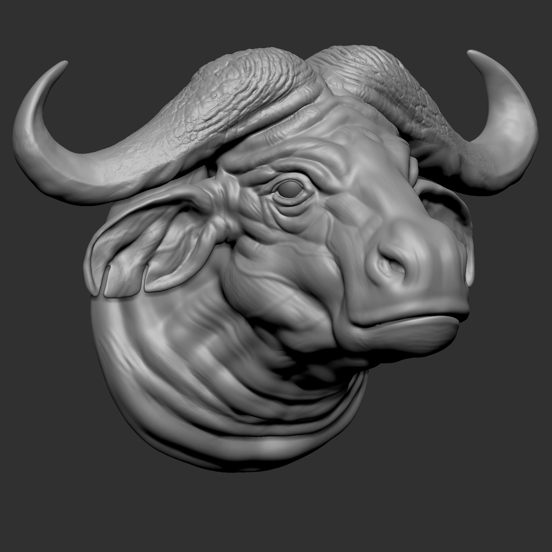 ArtStation Buffalo Face   Sadab Shaikh Sadab Shaikh A 