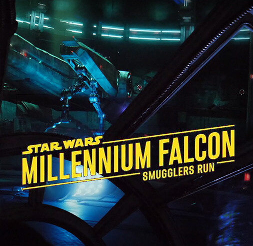 Galaxy's Edge - Millennium Falcon Smugglers Ride