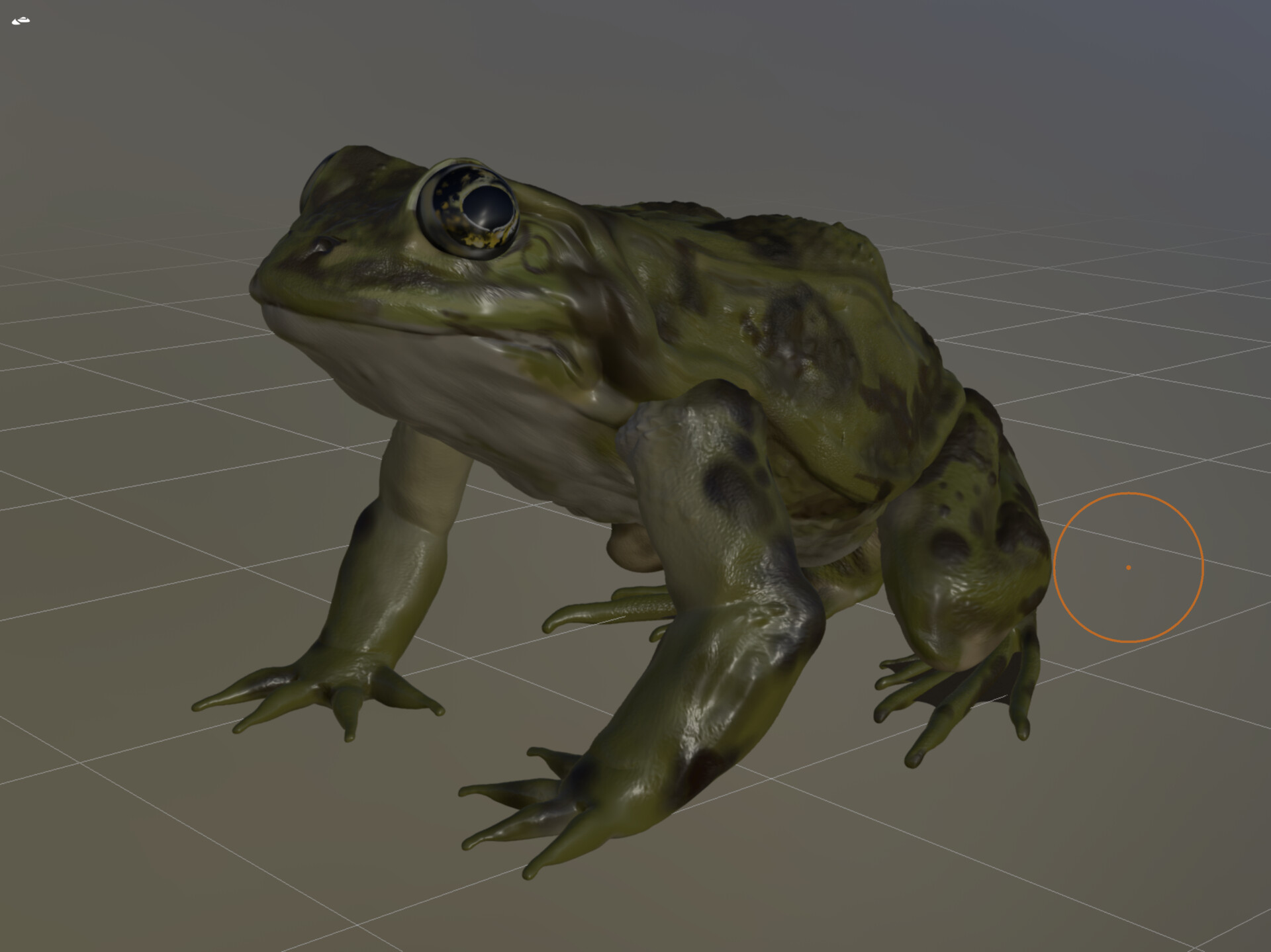 ArtStation - Frog 3D Model