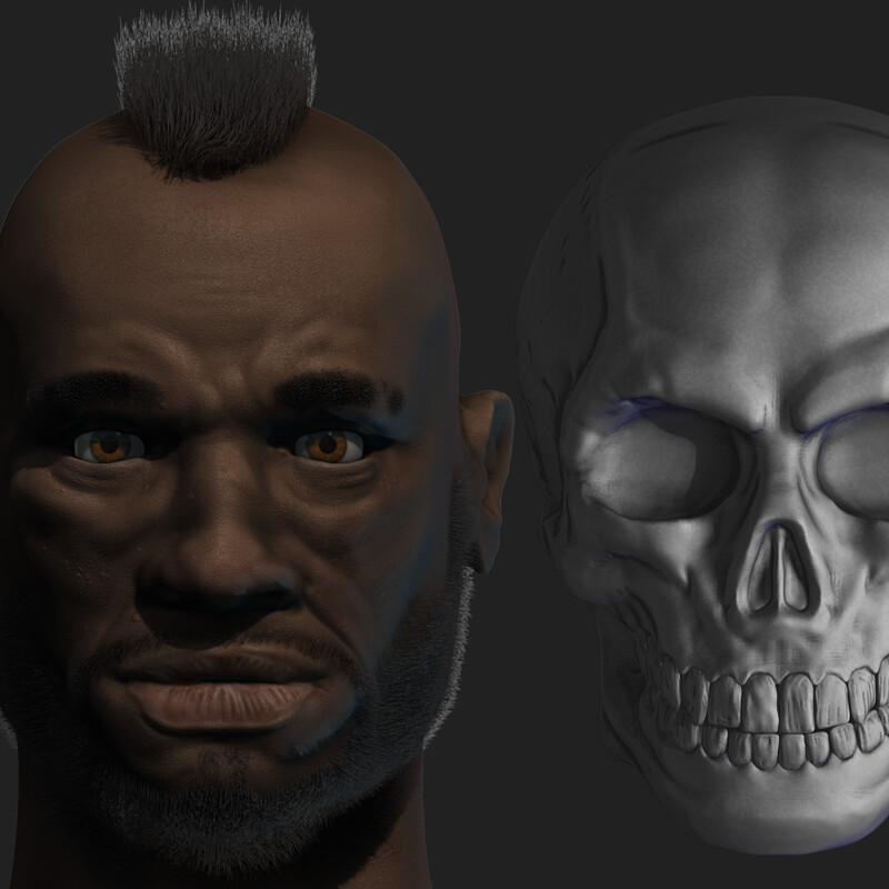 Male face anatomy
