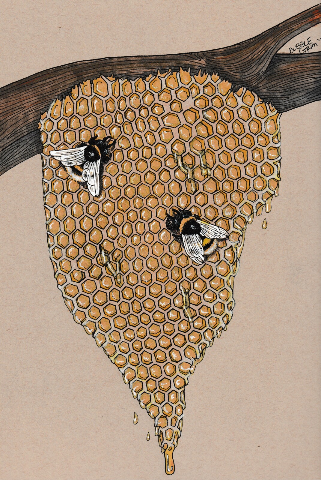 Design on Natural Tone - various