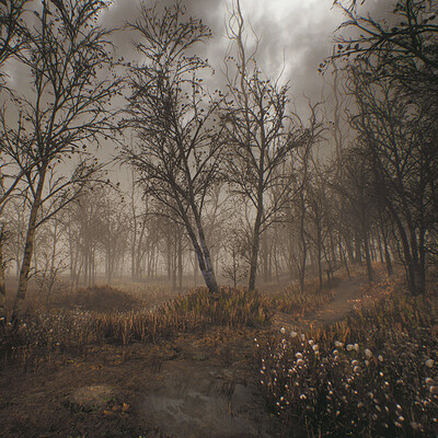 Autumn Forest [UE4] - Overcast Lighting w/Breakdown