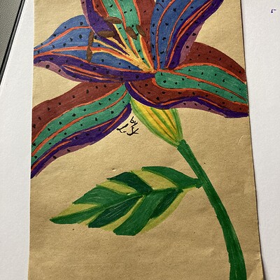 My first attempt to draw a Lily ^.^