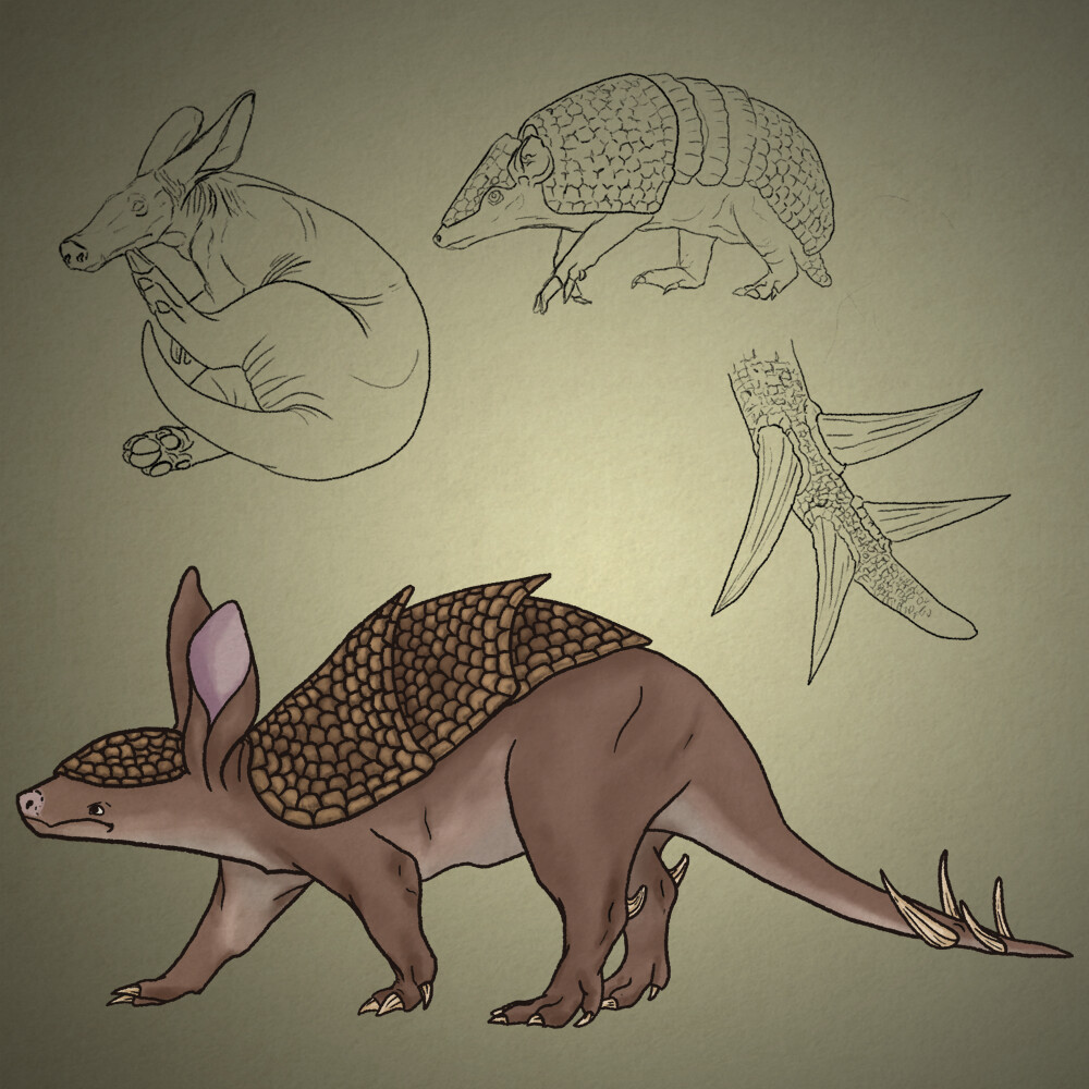 Aardvark - Armadillo 