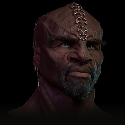 Klingon Captain