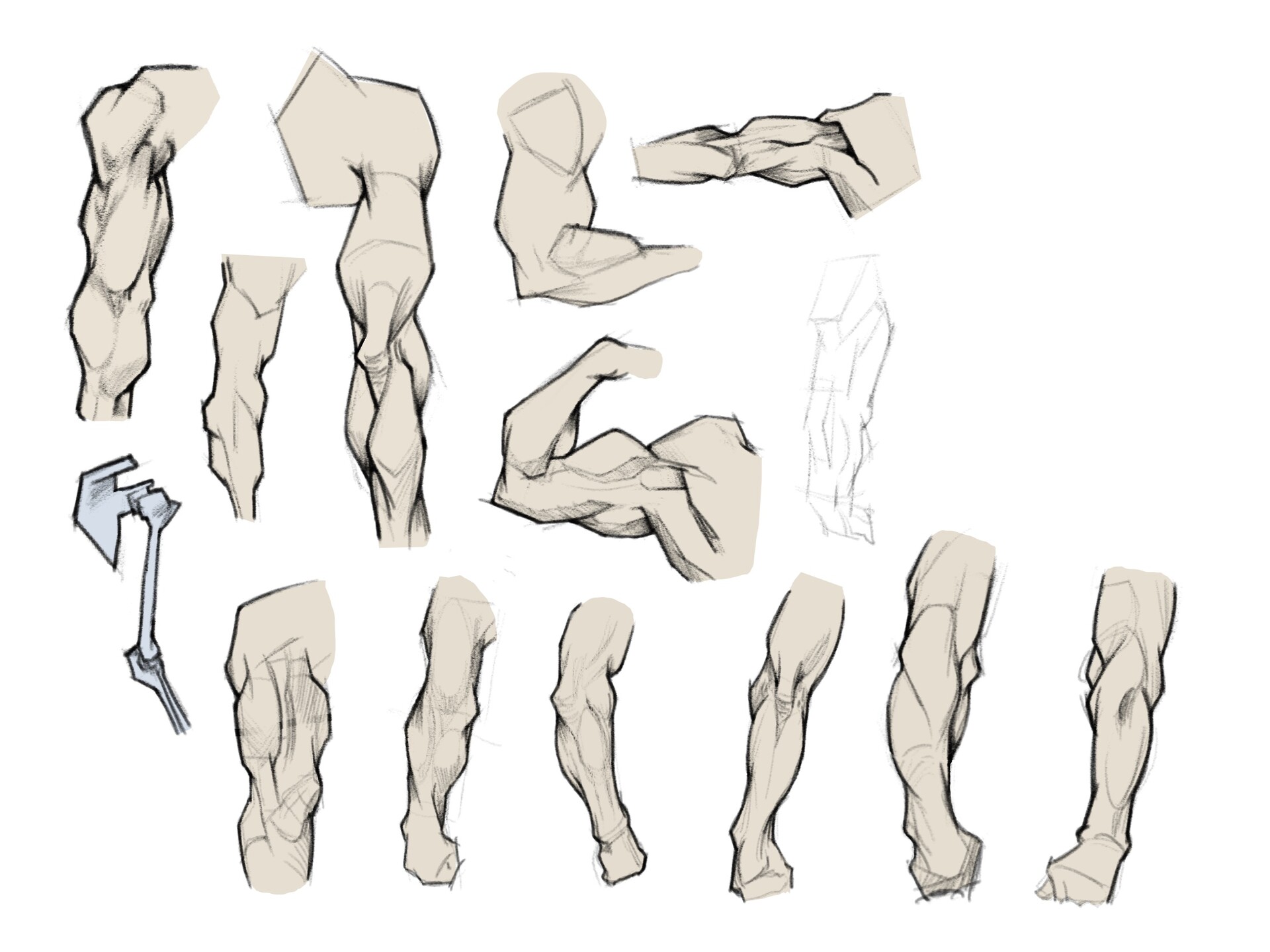 ArtStation - Anatomy sketches