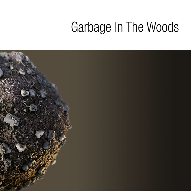 Garbage in the Woods • Personal