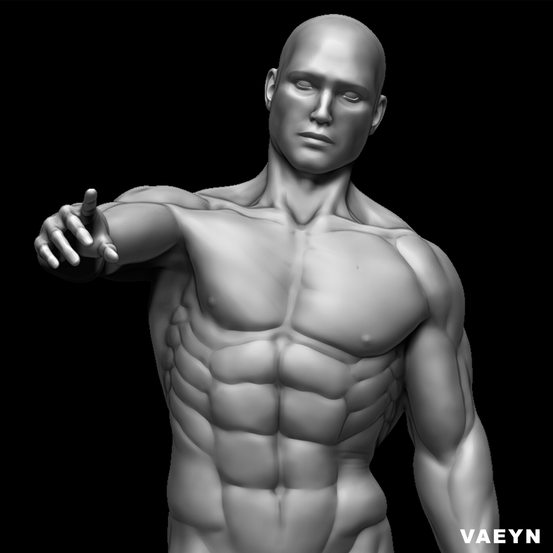 ArtStation Male Anatomy