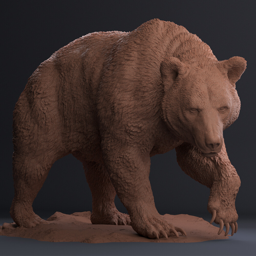 ArtStation - Bear Sculpt in Blender