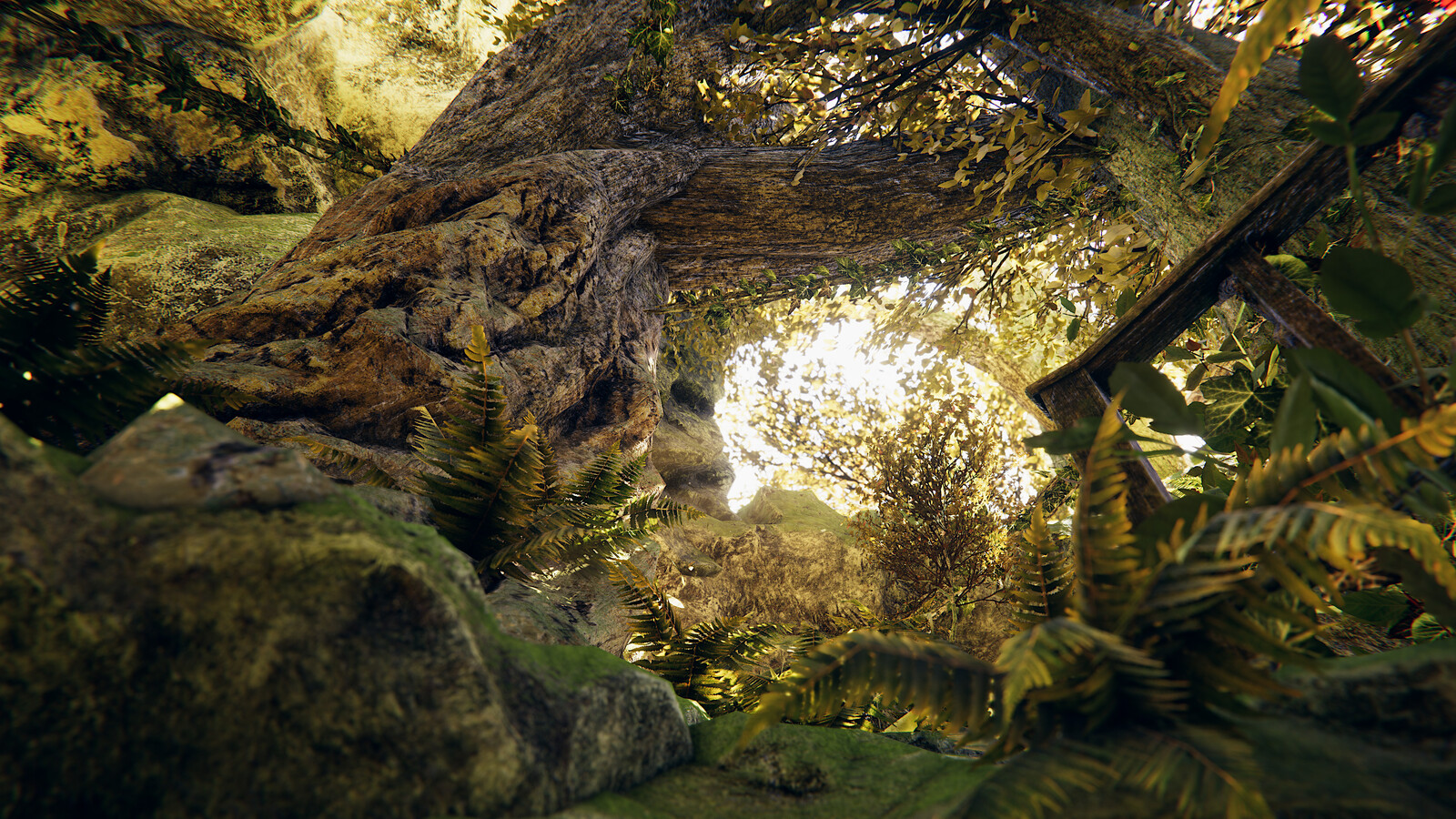 Mossy Forest Environment - Unity