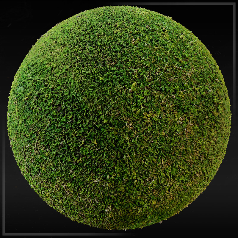 Short Grass Material - Photogrammetry