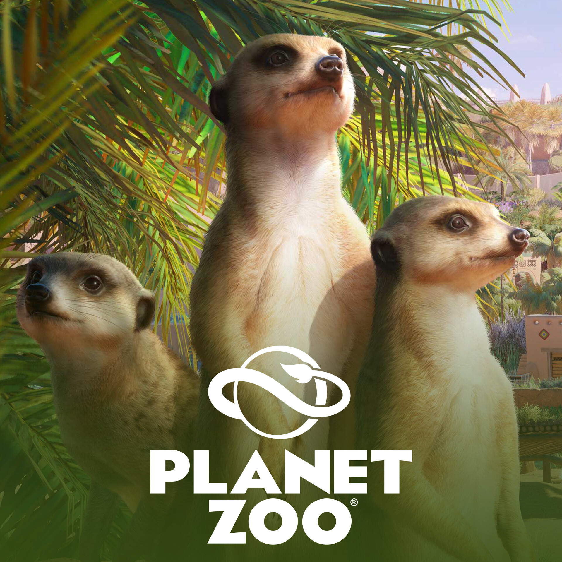 planet zoo server not reachable