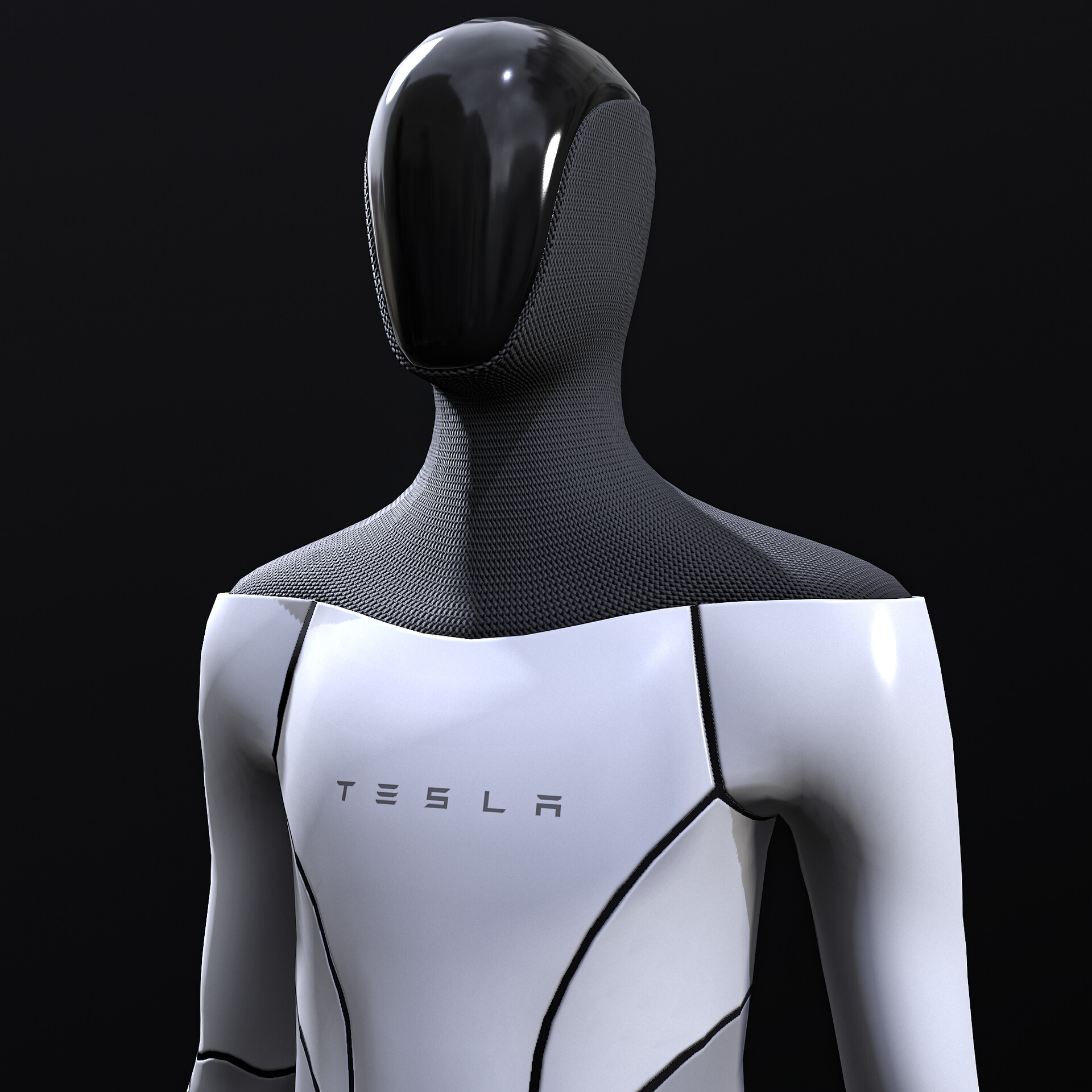 Tesla robot