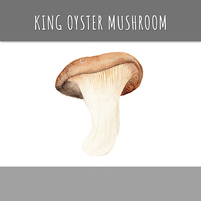 King Oyster Mushroom