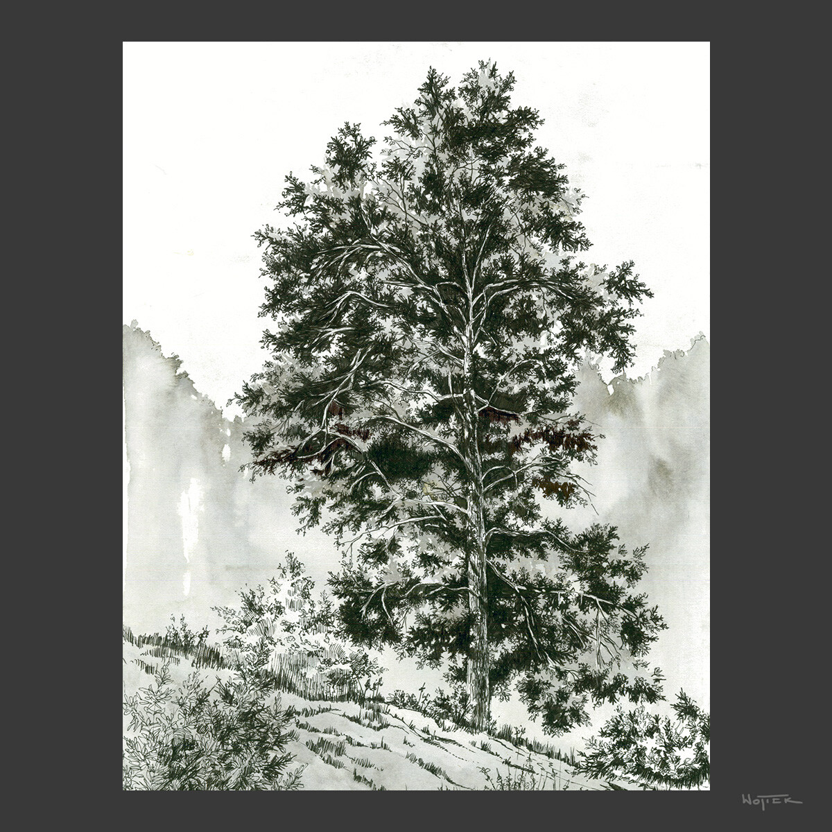Sketches #02 - Tree Studies