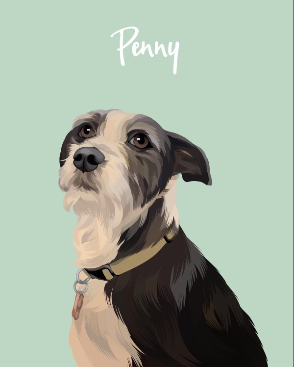 ArtStation - Minimalist Pet Portrait-20210911