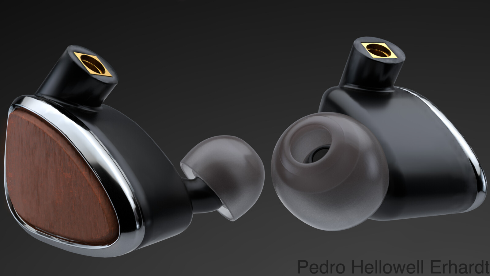 Earphones 