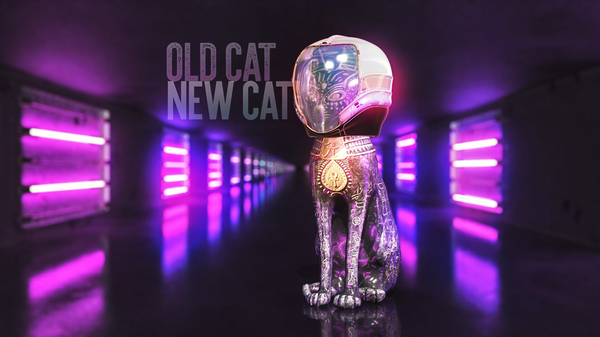 artstation-old-cat-new-cat