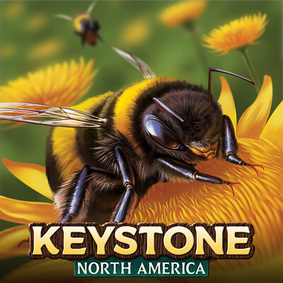 Bee - Keystone: North America