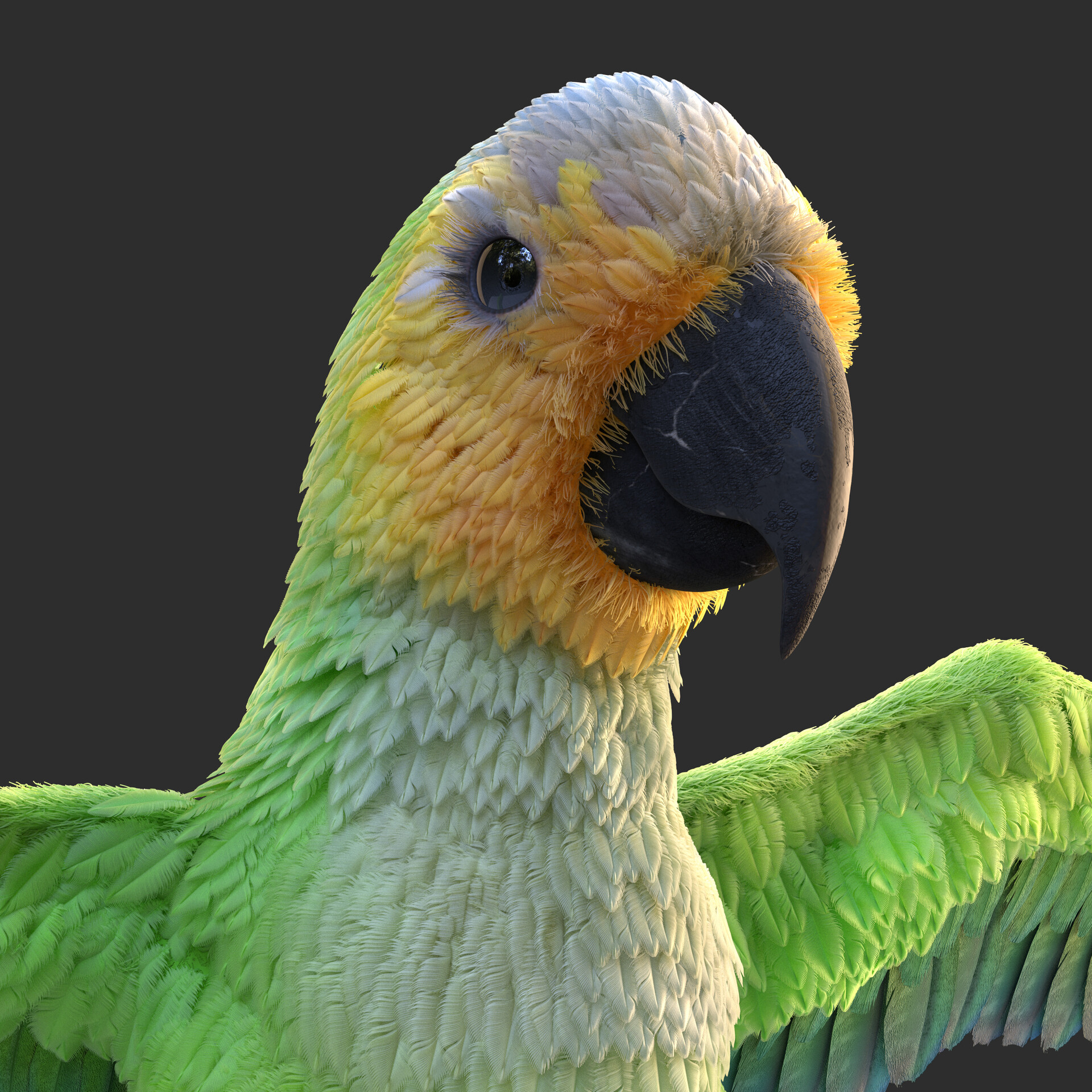 ArtStation - Parrot | JUICE