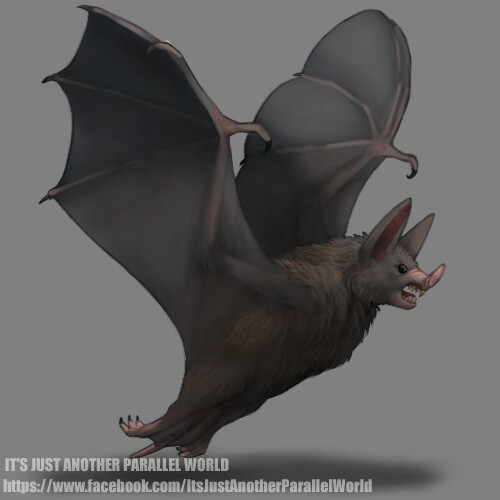 ArtStation - Bat