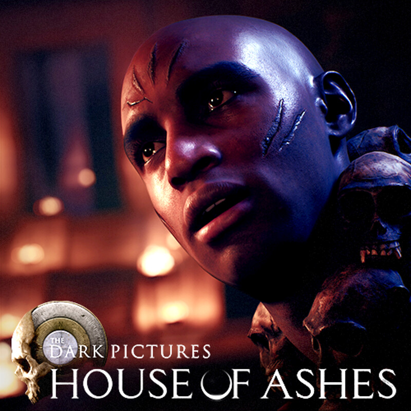 The Dark Pictures: House of Ashes - Above