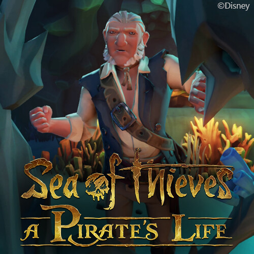 Ross Everson - Sea Of Thieves A Pirate’s Life Animations