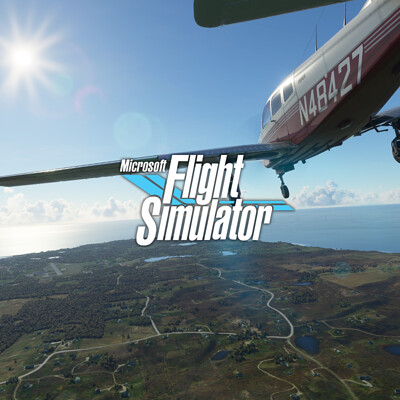 ArtStation - Microsoft Flight Simulator: 40th Anniversary Edition Showcase  (A310, Goose, Jenny)