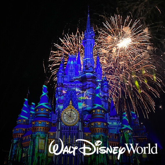 Disney Enchantment - Discover the Wonder (Peter Pan &amp; Friends)