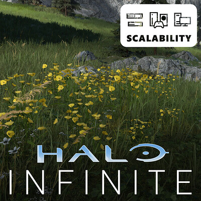 Halo Infinite - Ground Cover
