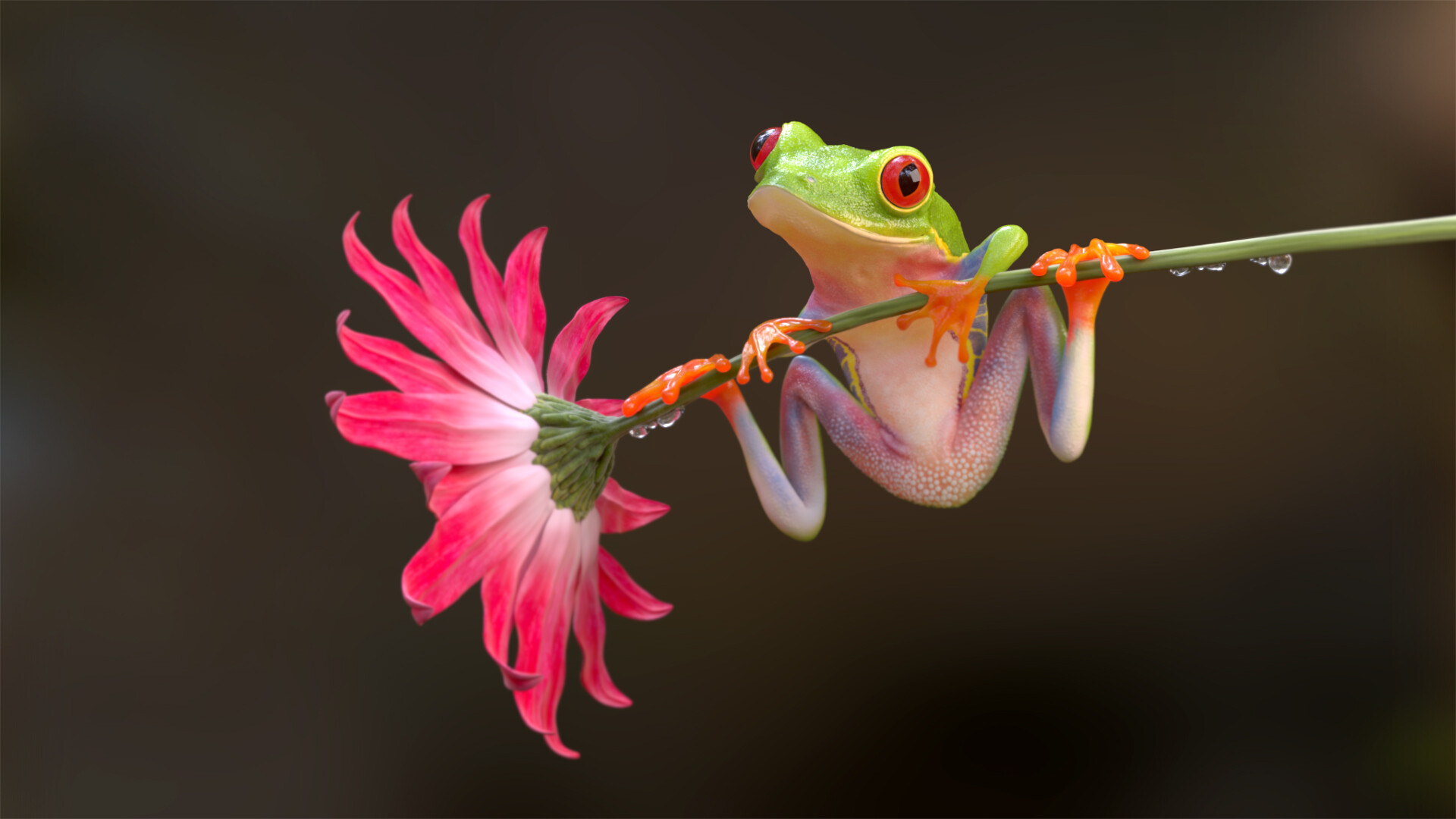 ArtStation - Tree Frog
