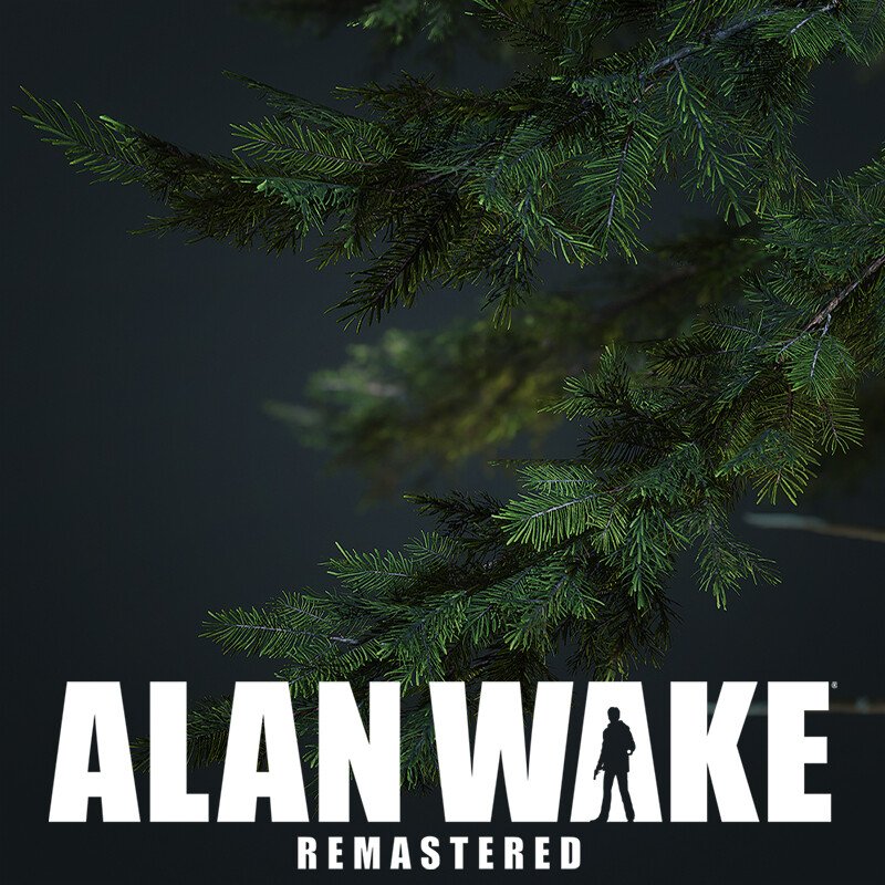 Alan Wake Remastered - Natural Prop Art