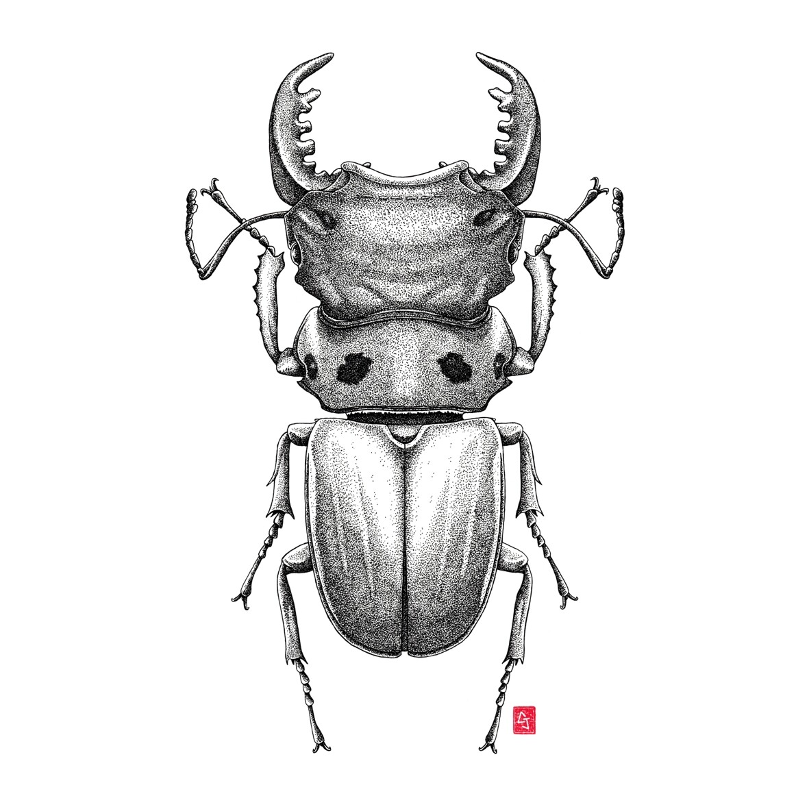 ArtStation - Homoderus mellyi