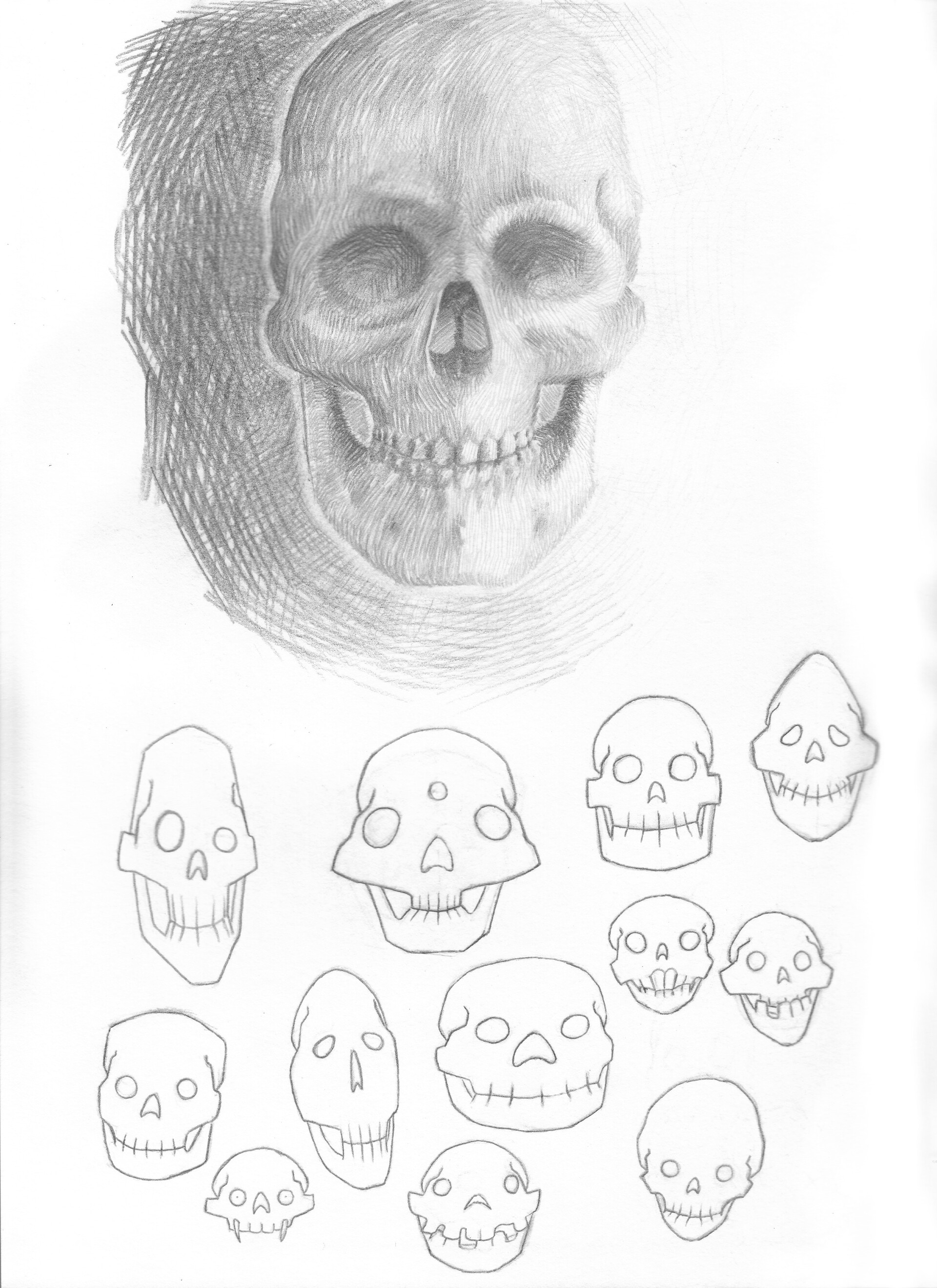 ArtStation - Skull study and illustrated skulls