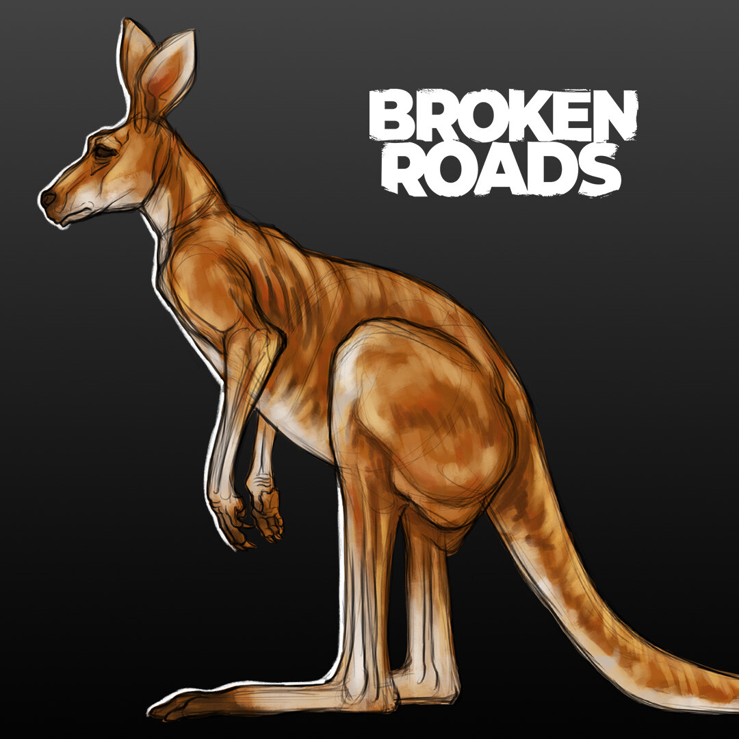 Kangaroo Concepts - Broken Roads