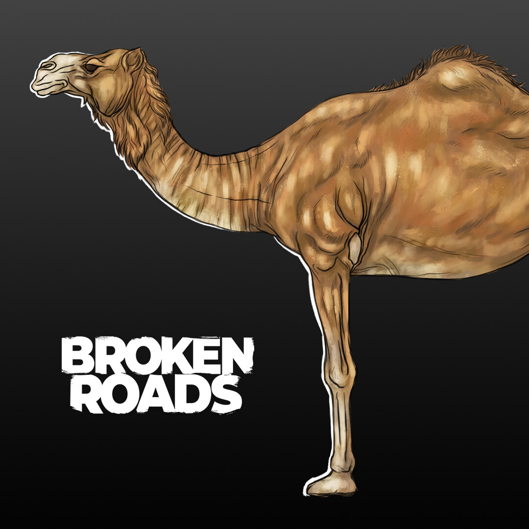 Camel Concepts - Broken Roads