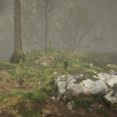 Forest Peace UE5