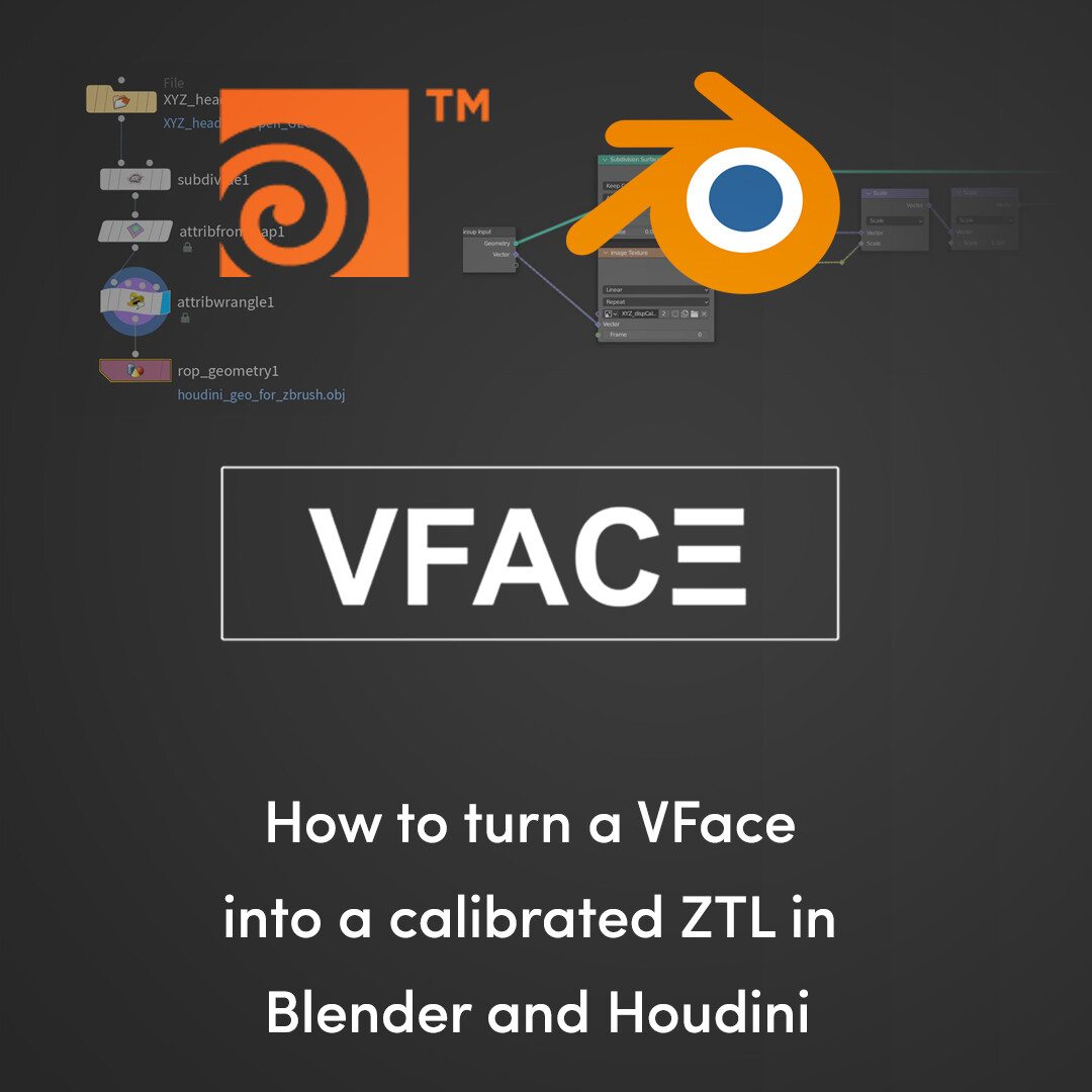 V-FACE Fundamentals: Turn a V-Face into a calibrated ZTL in Blender and Houdini