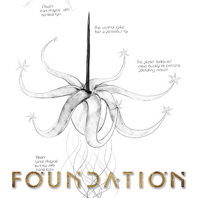 Foundation | Botanical Drawings